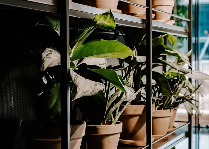 Vienna House By Wyndham Mokotow Hotel Warschau