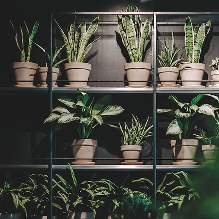 Vienna House By Wyndham Mokotow Warszawa