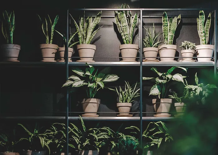 Vienna House By Wyndham Mokotow Warschau